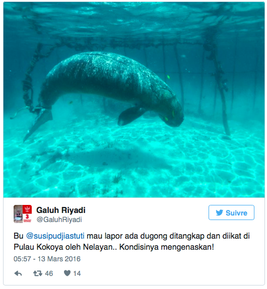 Capture d’écran 2016-03-18 à 14.21.44