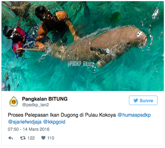 Capture d’écran 2016-03-18 à 14.22.11