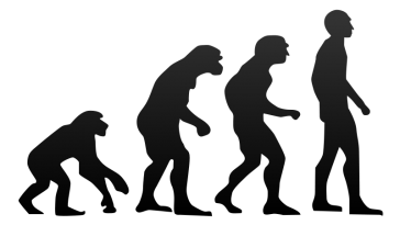 évolution humaine Homme