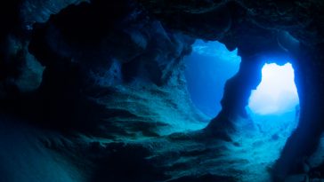 abysse océan fond mer