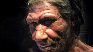 Neandertal