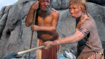 Neandertal