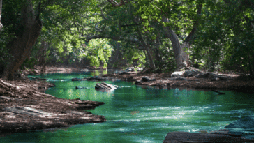 rivière cours d'eau