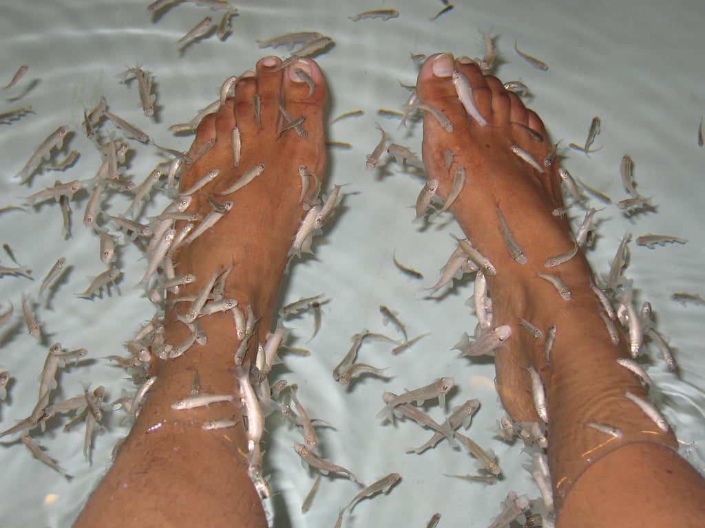 fish pedicure