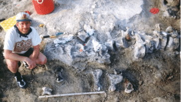 empreinte dinosaure fossile