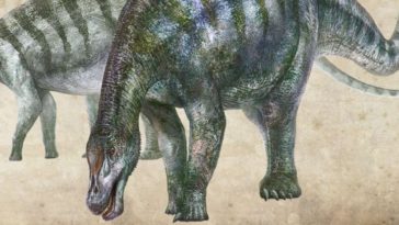 dinosaure Lingwulong shenqi