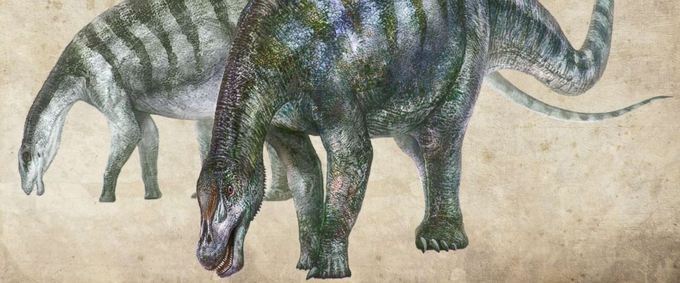 dinosaure Lingwulong shenqi