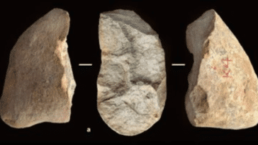 outils Asie archéologie