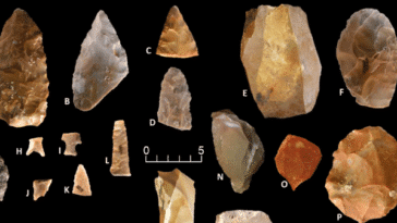 outils amérique préhistoire