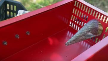 piege frelon asiatique