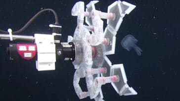 pokéball RAD capture poisson étude