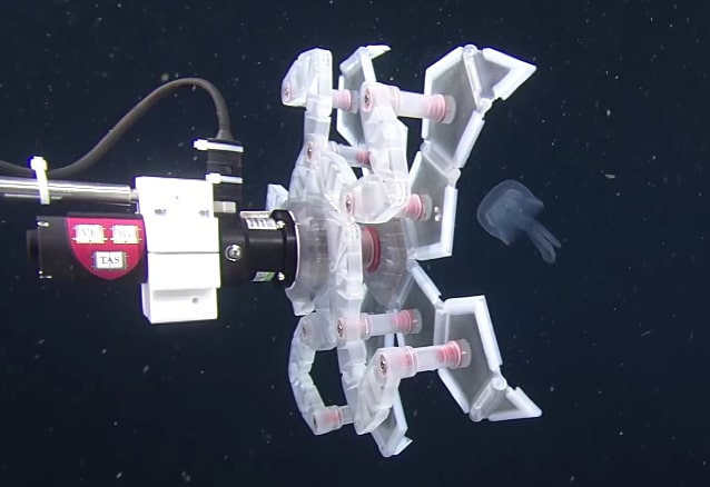 pokéball RAD capture poisson étude