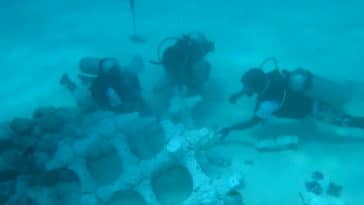 assemblage corraux 3D