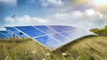 abeille panneau solaire