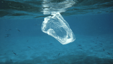 sac plastique pollution océan