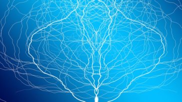 électricité bactérie