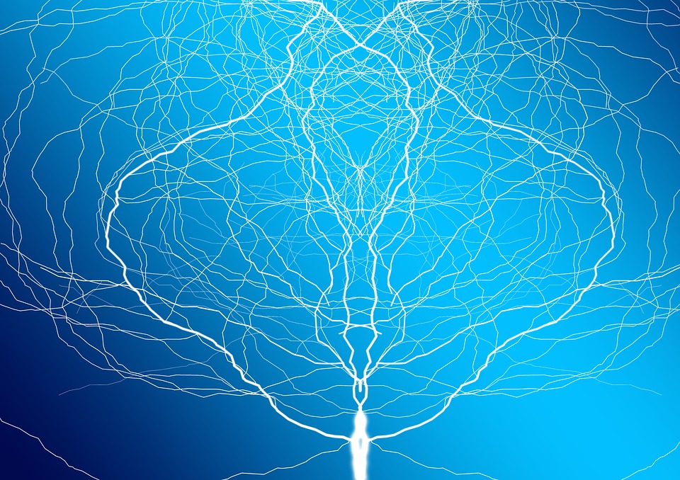 électricité bactérie