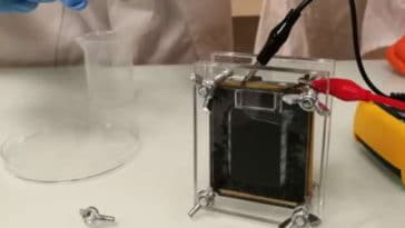 Everlux urine electricité