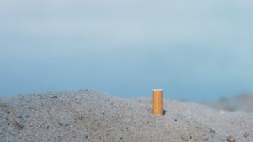 cigarette mégot plage