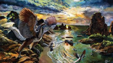Archaeopteryx lithographica oiseau reptile dinosaures