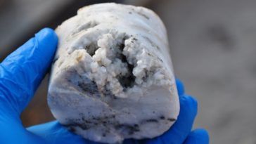 cyanobactéries vie Espagne terre 600 mètres mars