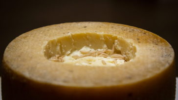 fromage italien larve