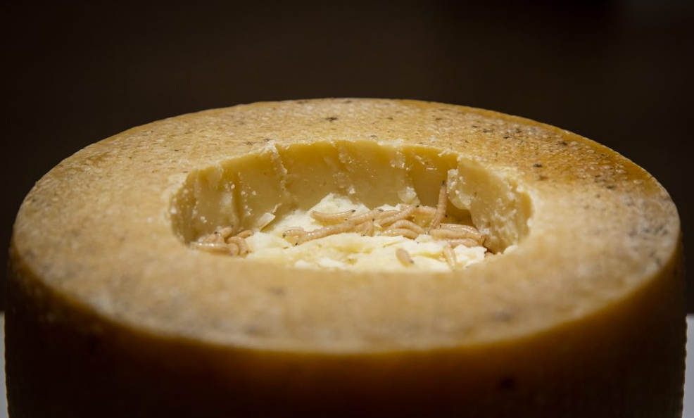 fromage italien larve