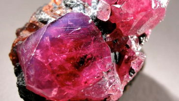 reidite minéral zircon