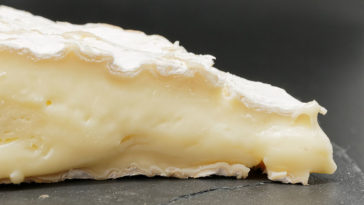 brie fromage