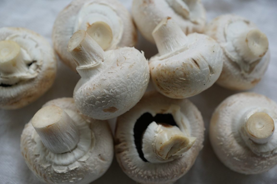 champignons