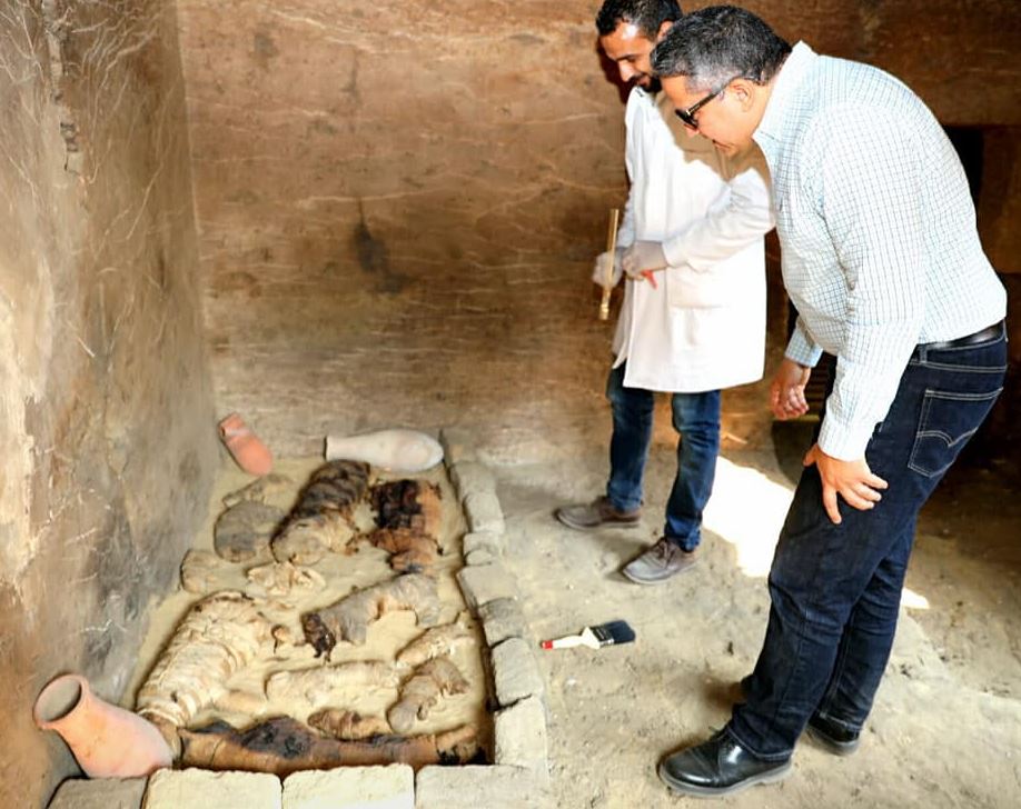 momie chat Saqqarah Égypte