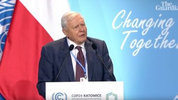 David Attenborough COP24