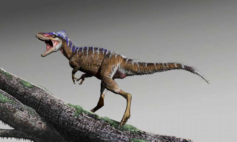 tyrannosaure dinosaure