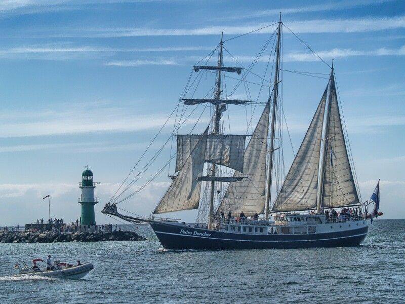 Le Kraken - Crédits : Wings of the Ocean