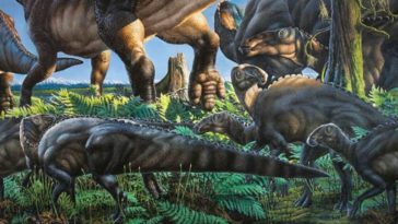 dinosaures mammifères