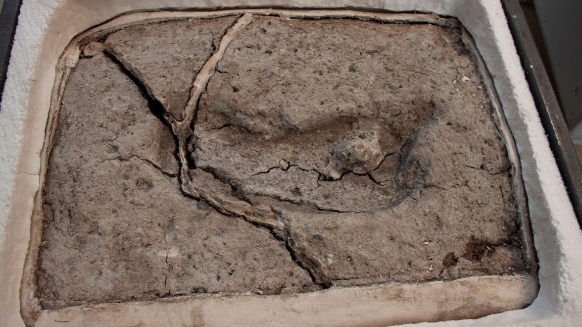 empreinte pas humaine