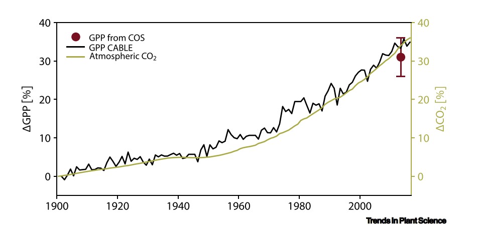 photosynthèse tendance