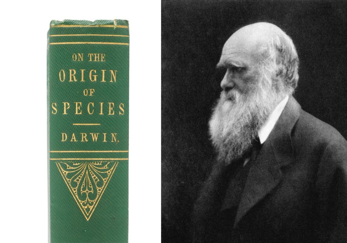 darwin