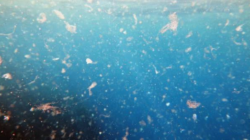 particules plastique