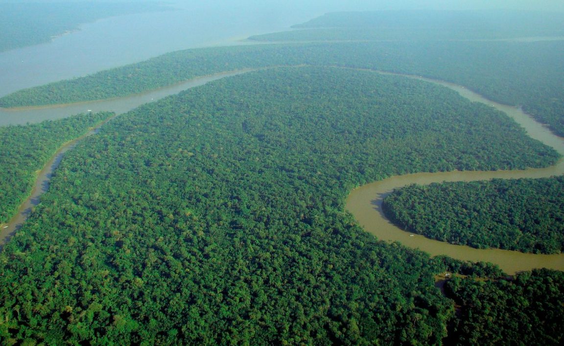 forêts Amazonie
