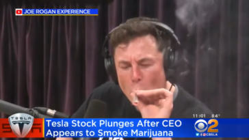 Elon Musk joint