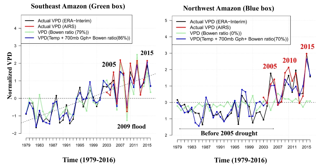 Amazonie s&eacute;cheresse