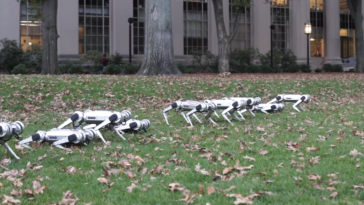 mini cheetah robot MIT 2