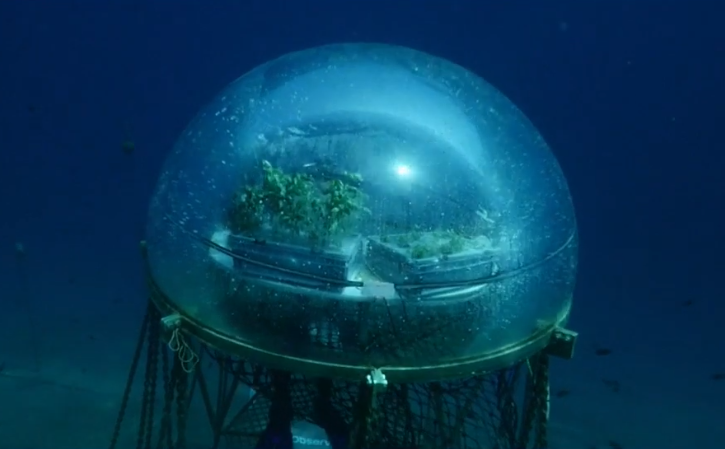 serre aquatique Némo