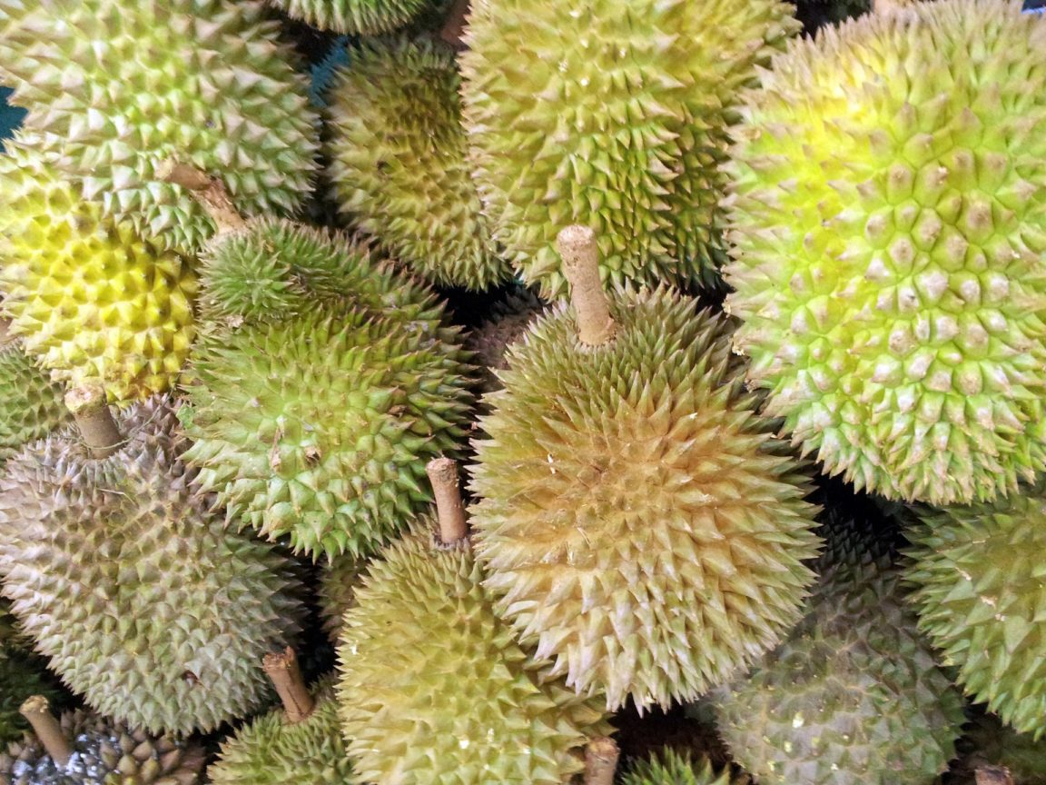 fruit durian 2