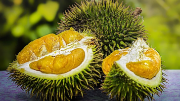 fruit durian