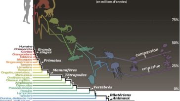 carte affective du vivant