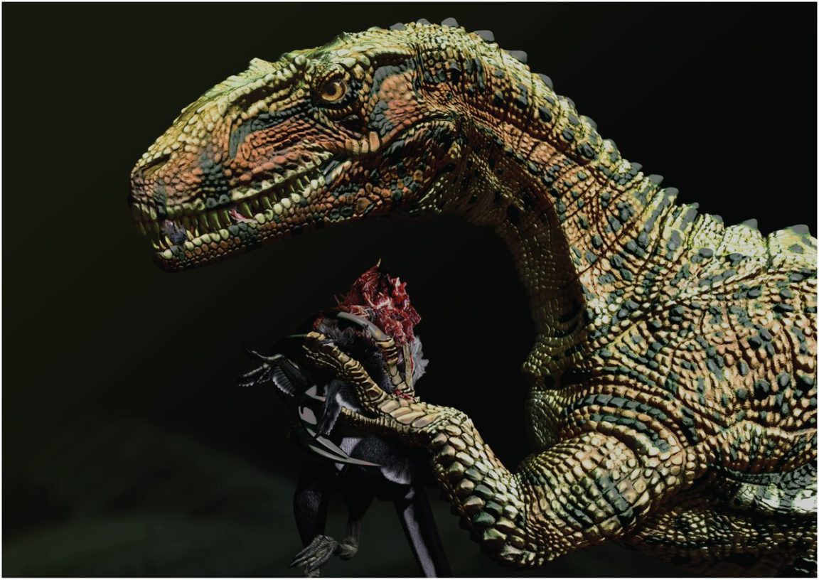 théropode australie