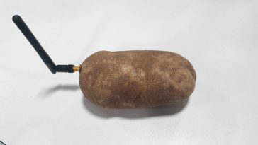 patate connectée