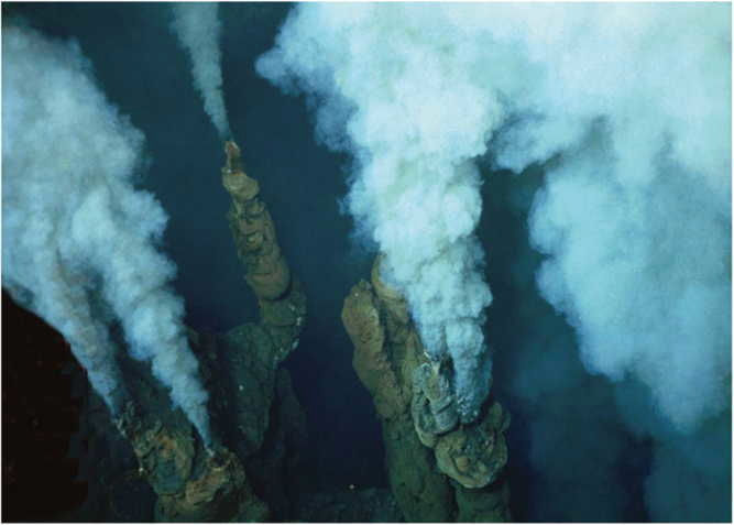 Fumeurs actifs dans le bassin de Lau îles Tonga, Sud-Ouest Pacifique-IFREMER